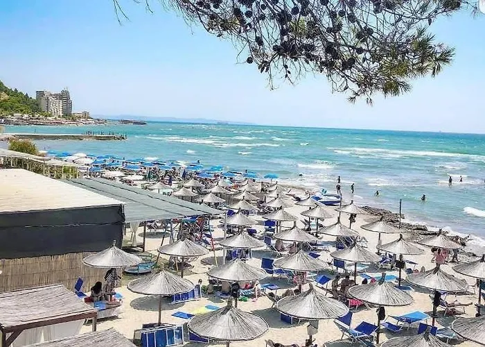 Daire Cala *